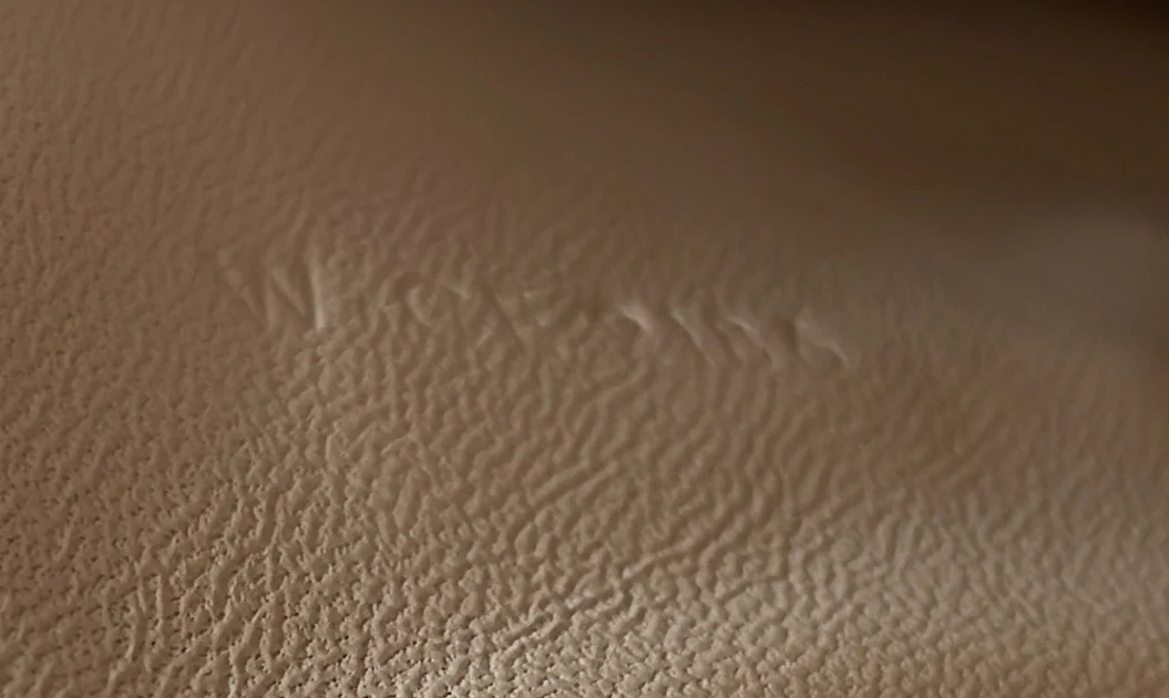 Classic Box Bag Smooth Leather Medium - Deep Luxury