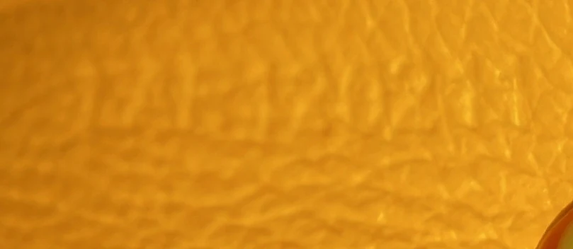 Saigon Top Handle Bag Coated Canvas with Leather Mini - Deep Luxury