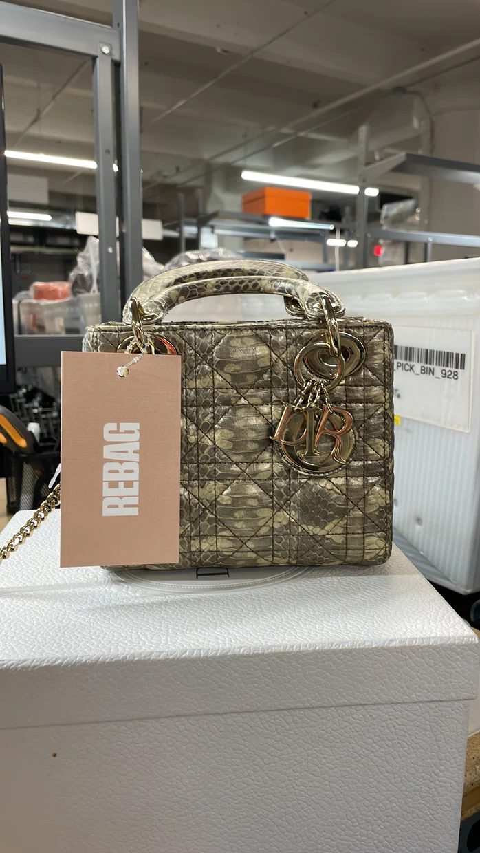 Lady Dior Chain Bag Python Mini - Deep Luxury