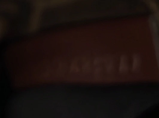 Peekaboo ISeeU Bag Nylon Medium - Deep Luxury