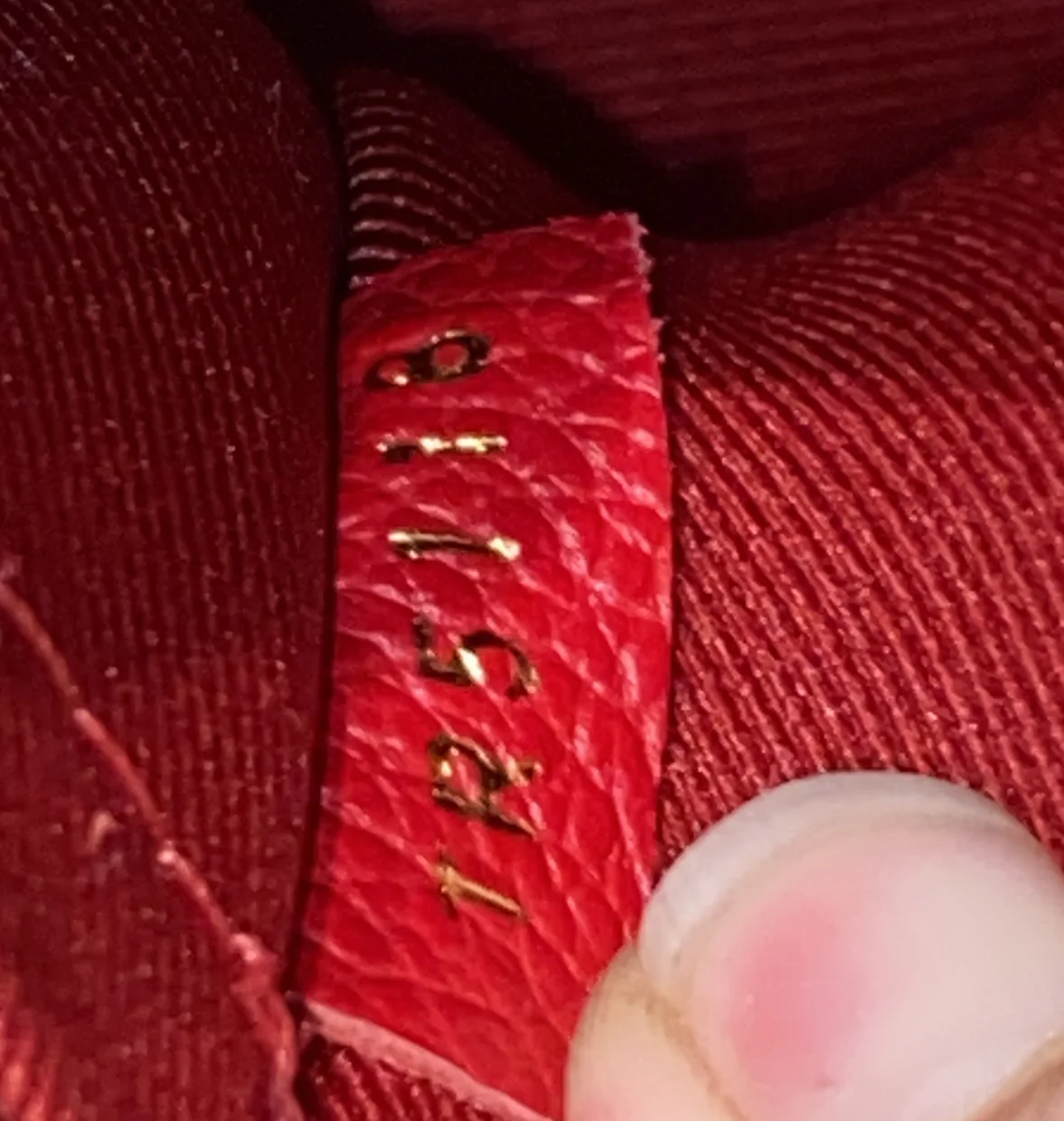 Sully Tote Monogram Empreinte Leather PM - Deep Luxury