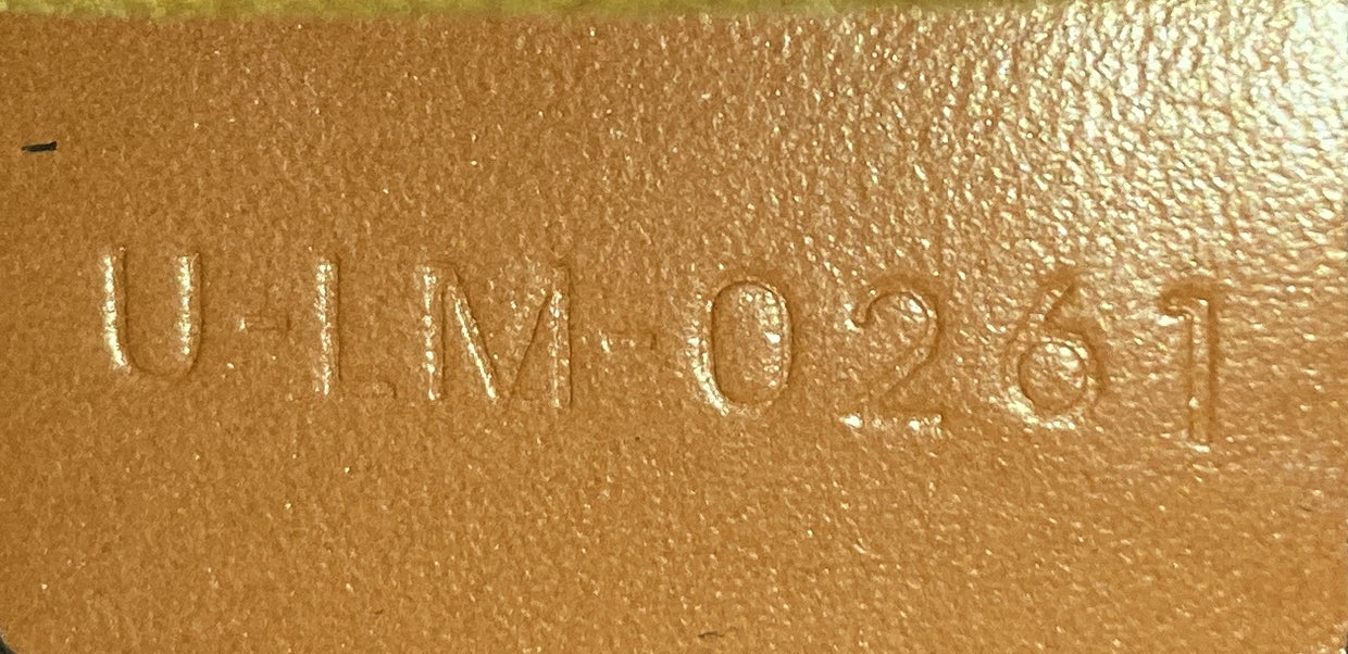 Ava Bag Triomphe Coated Canvas - Deep Luxury