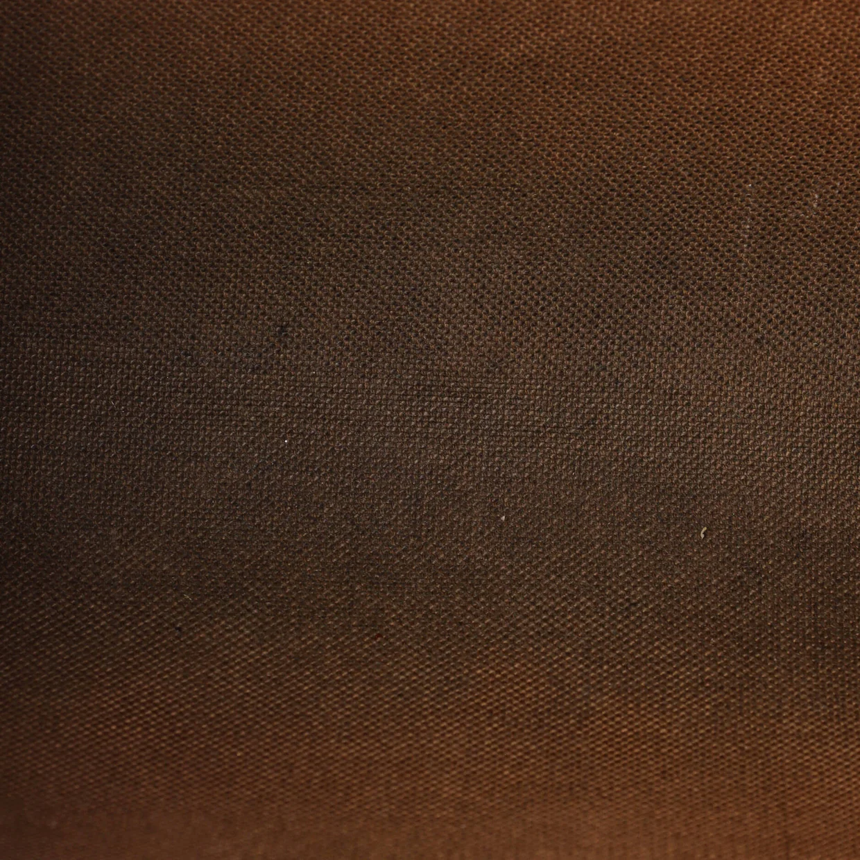 Eva Handbag Monogram Canvas - Deep Luxury