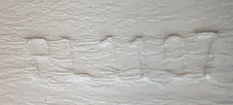 Temple Petite Malle Handbag Leather - Deep Luxury