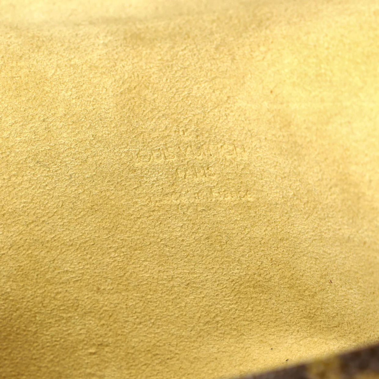 Florentine Waist Bag Monogram Canvas - Deep Luxury