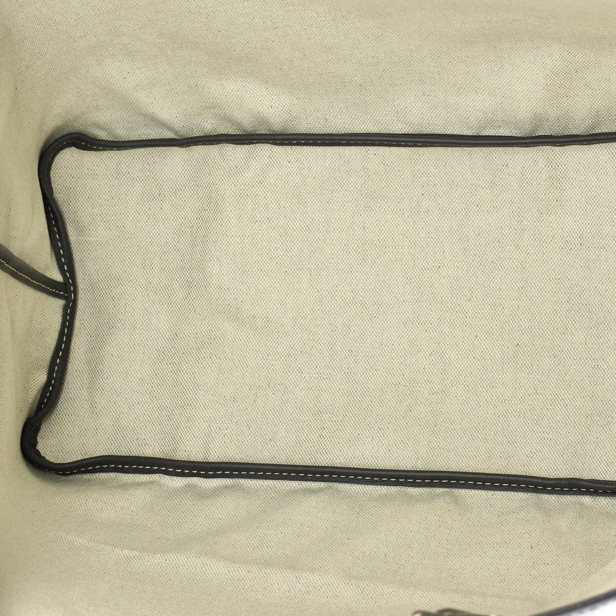 Saint Louis Tote Coated Canvas PM - Deep Luxury