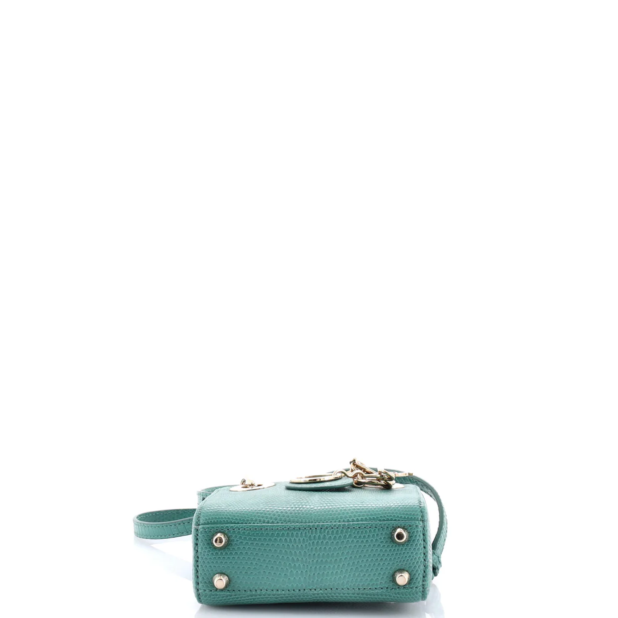 Lady Dior Bag Lizard Micro - Deep Luxury