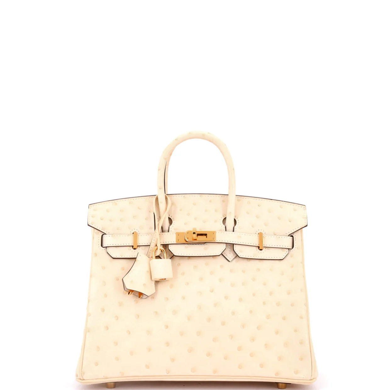 Birkin Handbag Light Ostrich with Gold Hardware 25 - Deep Luxury