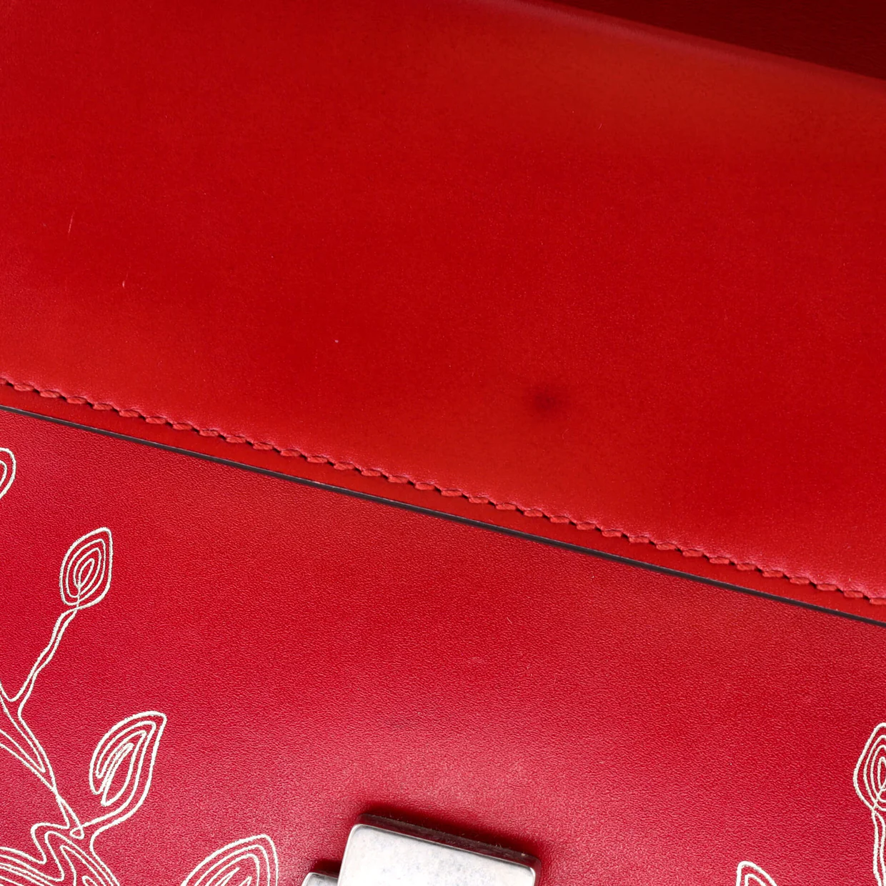 Dionysus Bag Limited Edition Painted Leather Mini - Deep Luxury