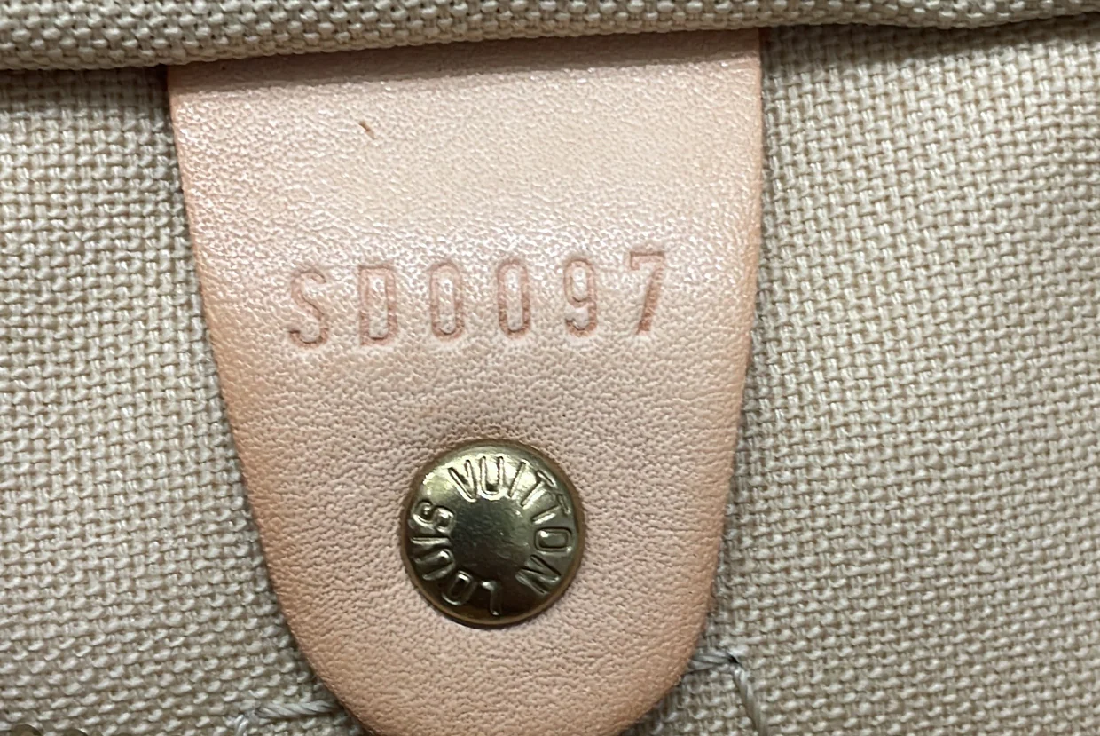 Speedy Handbag Damier 30 - Deep Luxury