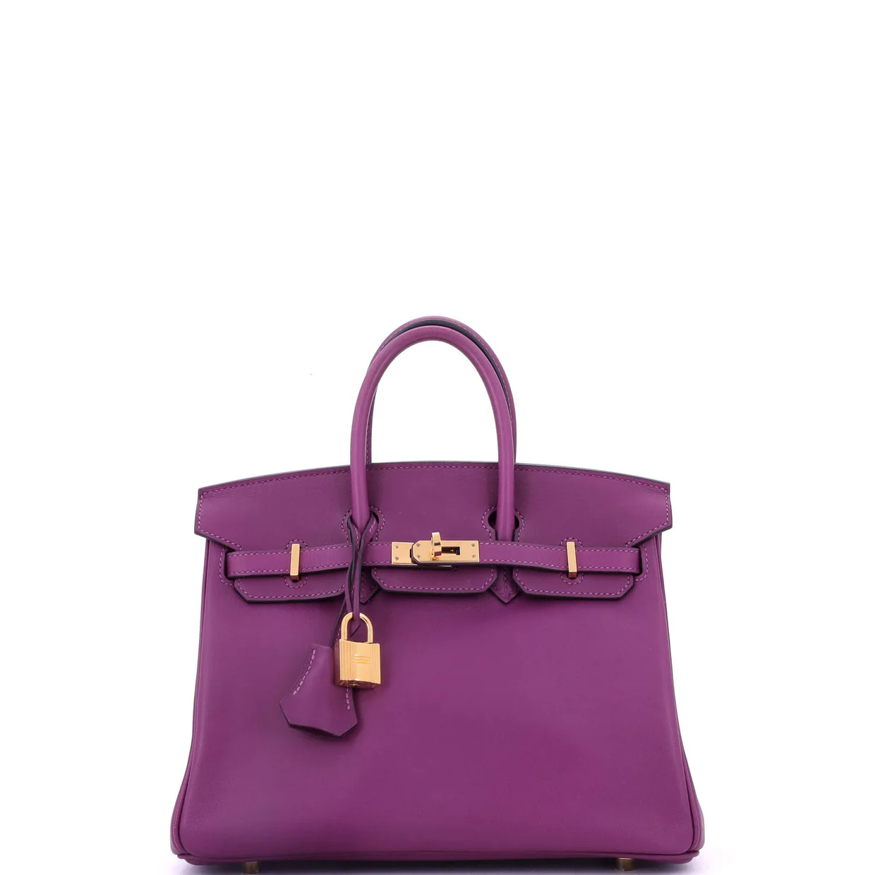 Birkin Handbag Anemone Swift with Gold Hardware 25 - Deep Luxury
