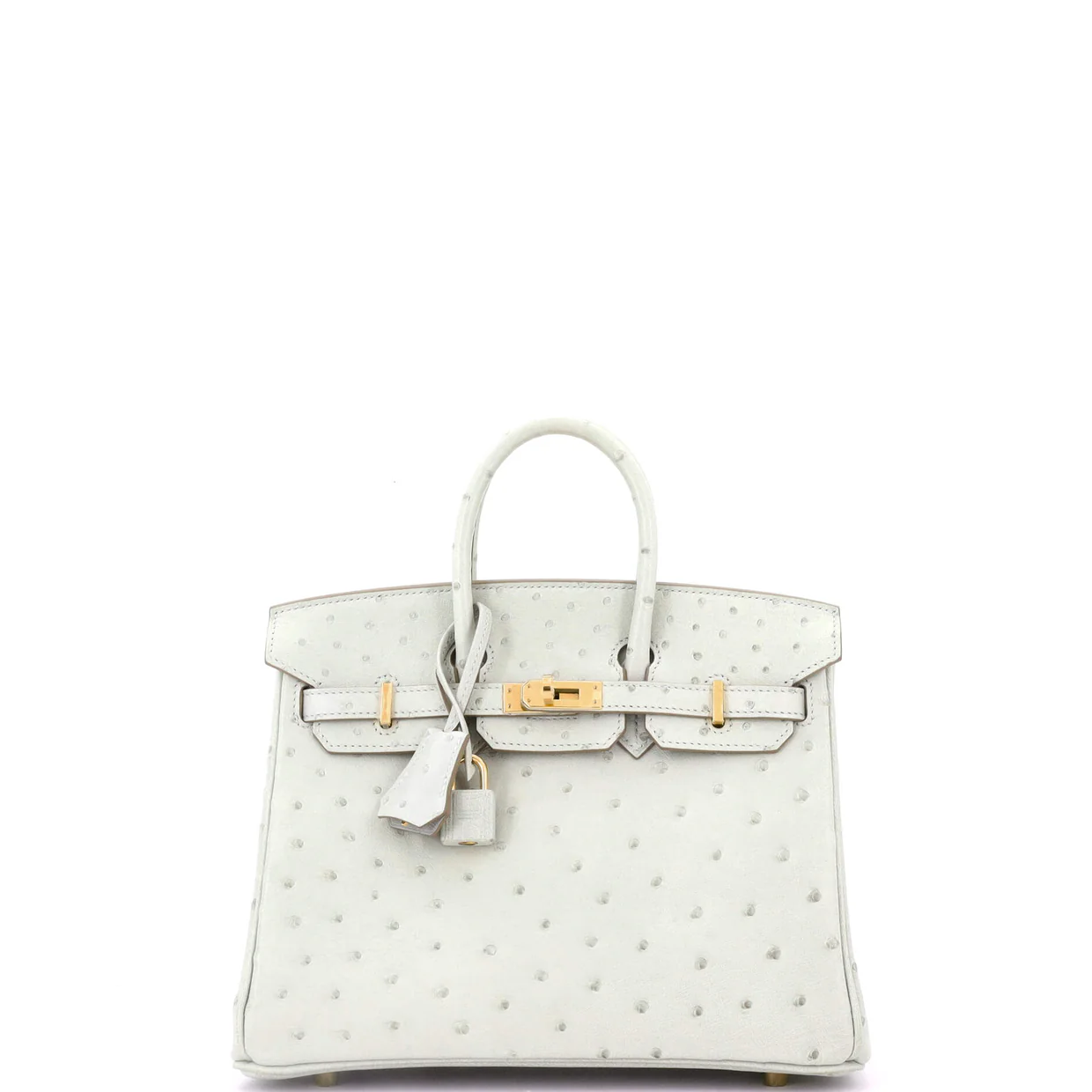 Birkin Handbag Grey Ostrich with Gold Hardware 25 - Deep Luxury