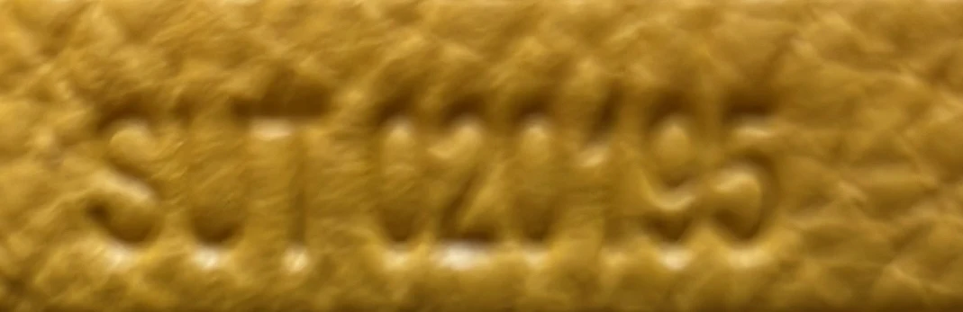 Saint Louis Tote Coated Canvas GM - Deep Luxury