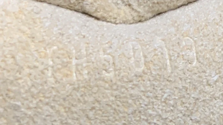 City Handbag Monogram Etoile PM - Deep Luxury