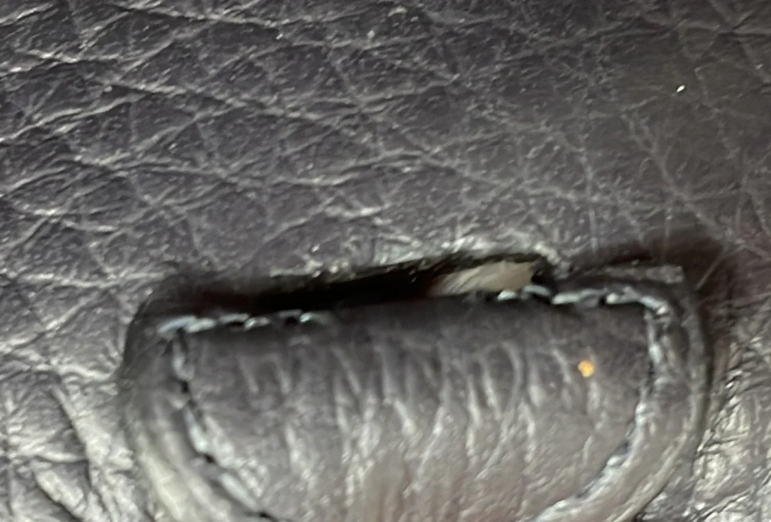 Evelyne Bag Gen III Clemence TPM - Deep Luxury