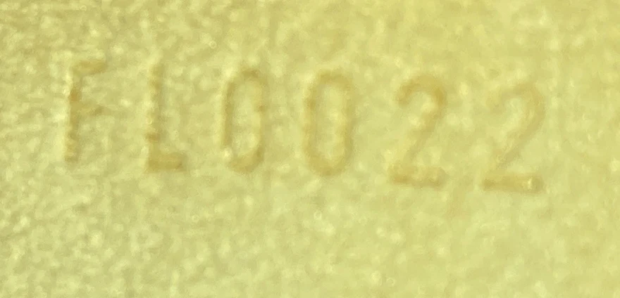 Florentine Waist Bag Monogram Canvas - Deep Luxury