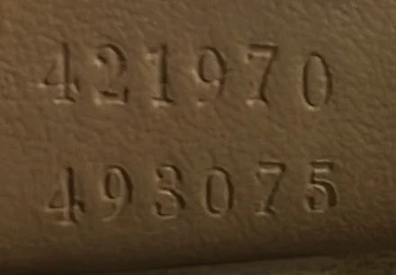 Dionysus Bag GG Coated Canvas Mini - Deep Luxury