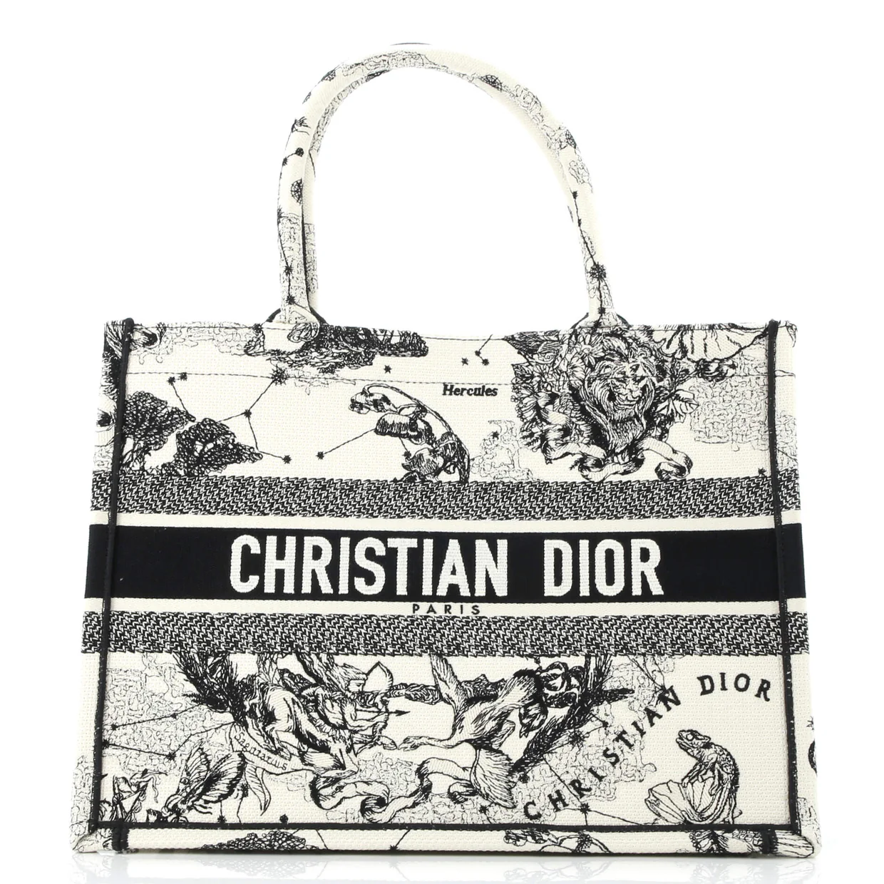 Book Tote Embroidered Canvas Medium - Deep Luxury