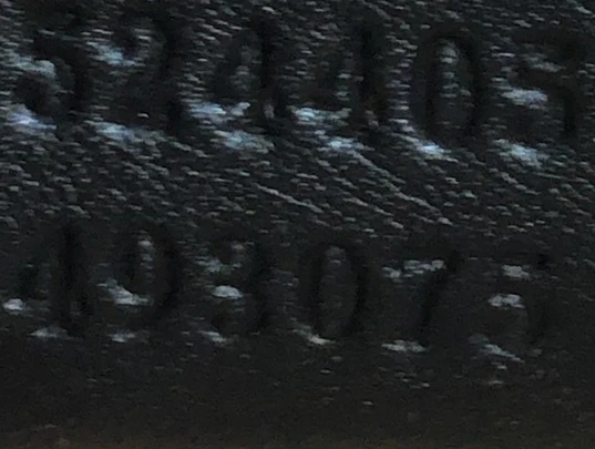 Sylvie Shoulder Bag GG Velvet Small - Deep Luxury