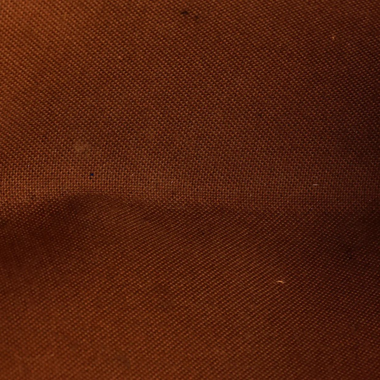 Eva Handbag Monogram Canvas - Deep Luxury