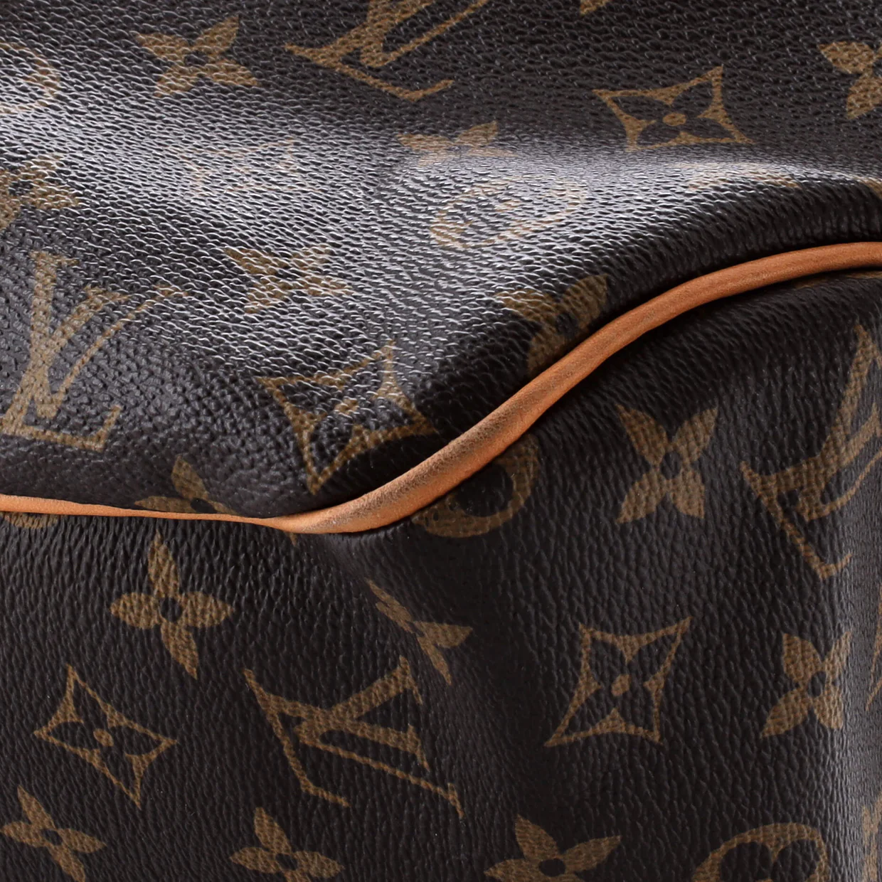 Delightful Handbag Monogram Canvas GM - Deep Luxury