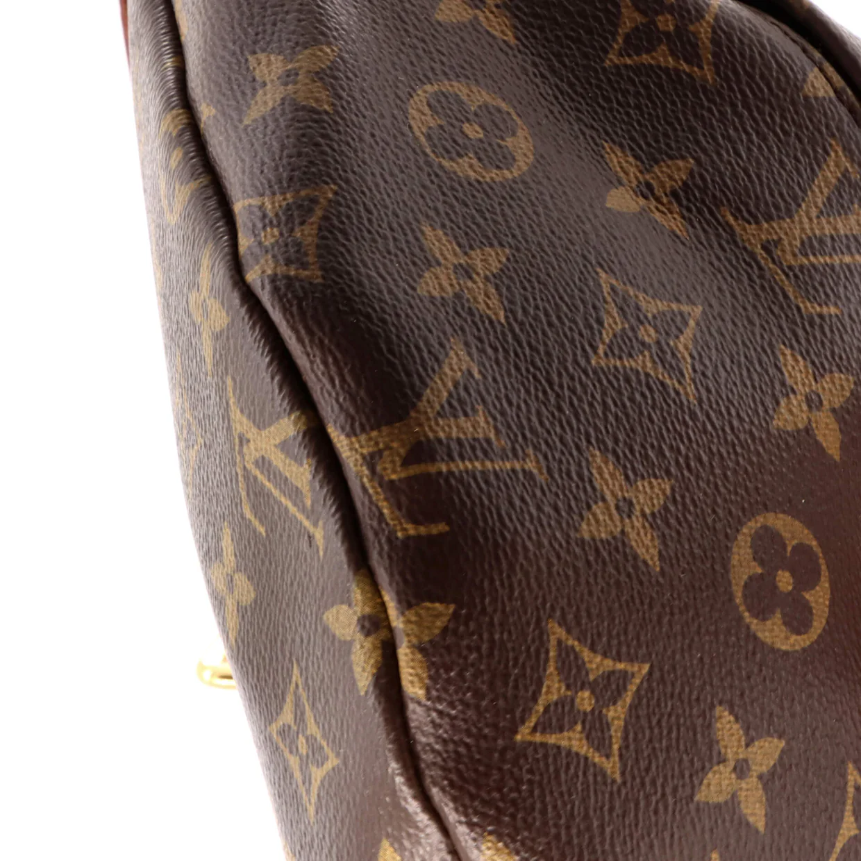 Bum Bag Monogram Canvas - Deep Luxury