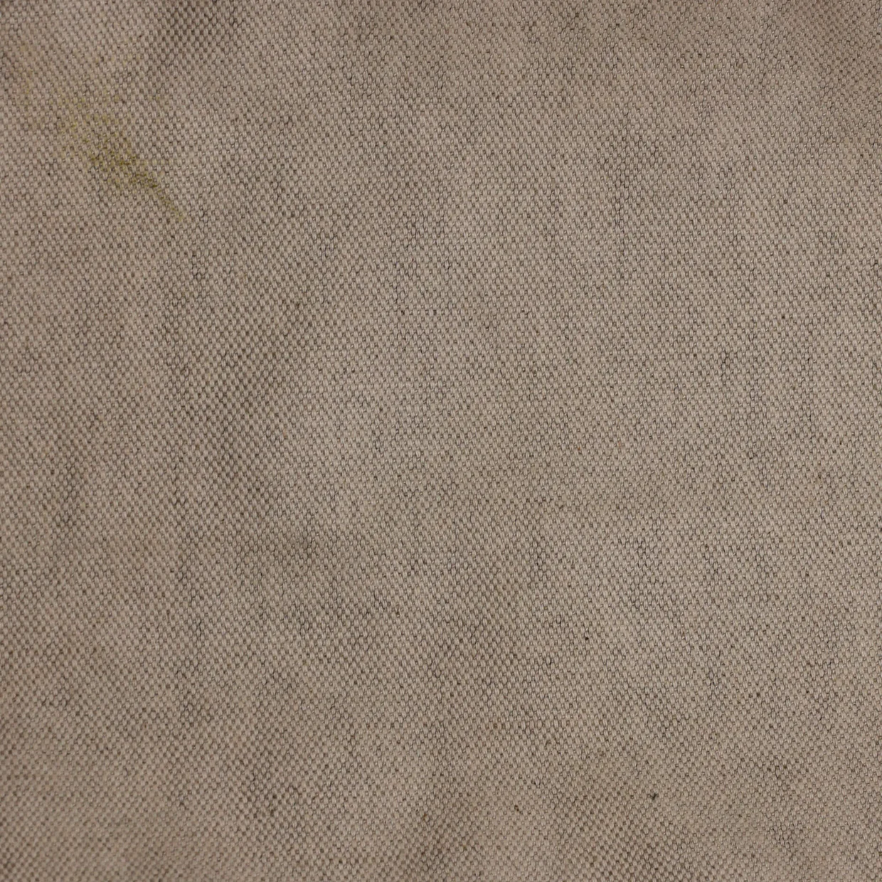 Saint Louis Tote Printed Coated Canvas GM - Deep Luxury