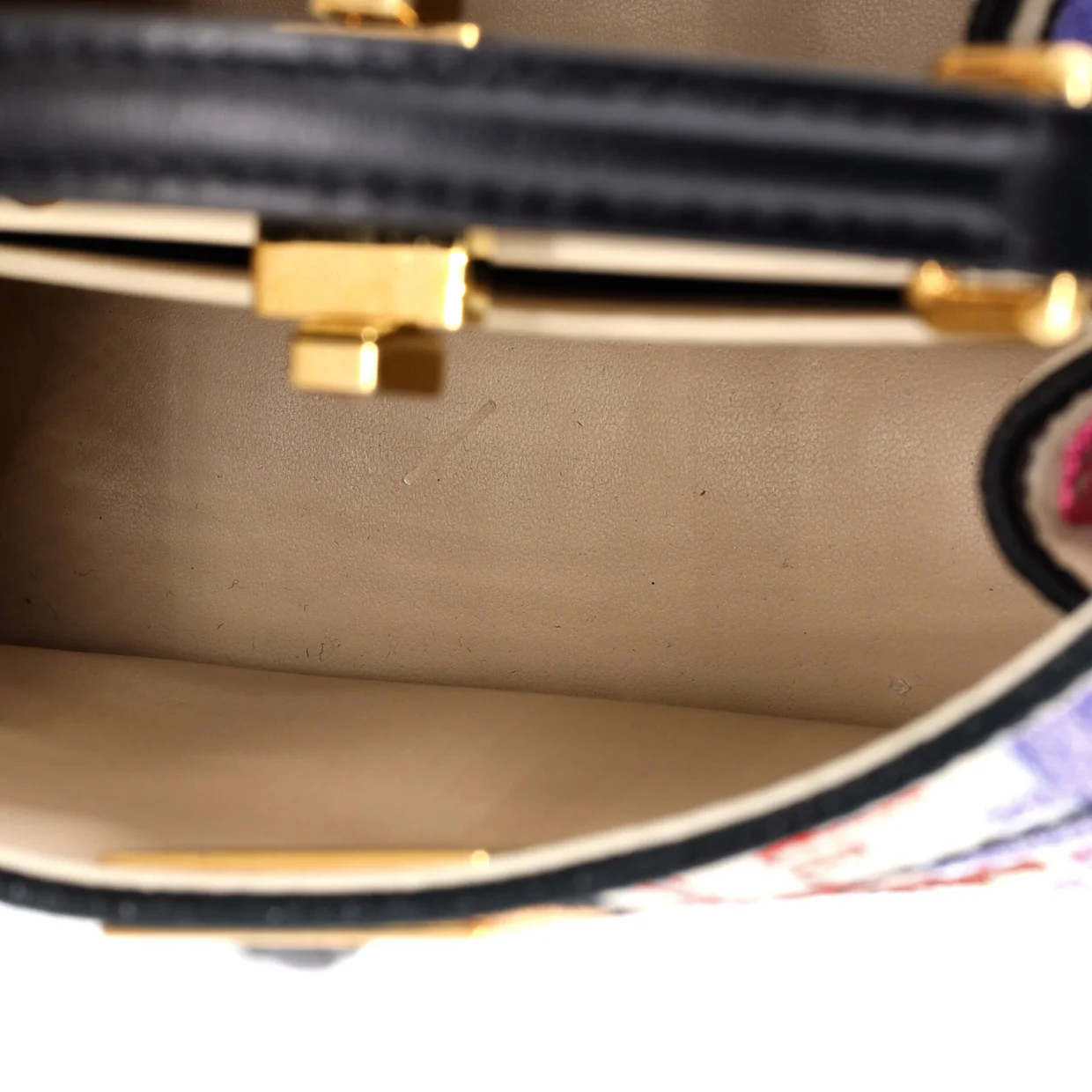 Peekaboo ISeeU Bag Embroidered Zucca Canvas Petite - Deep Luxury