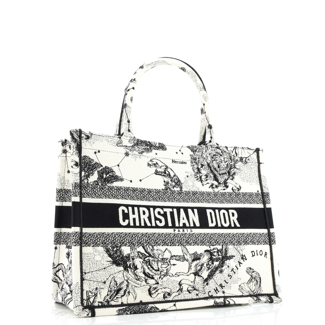 Book Tote Embroidered Canvas Medium - Deep Luxury
