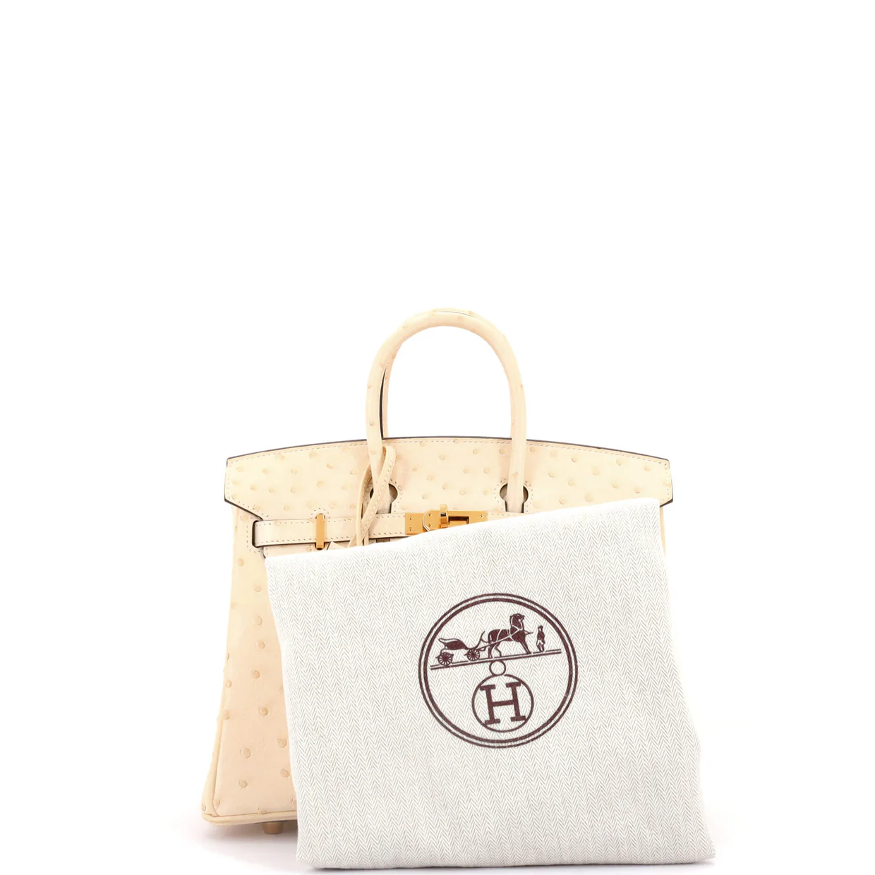 Birkin Handbag Light Ostrich with Gold Hardware 25 - Deep Luxury