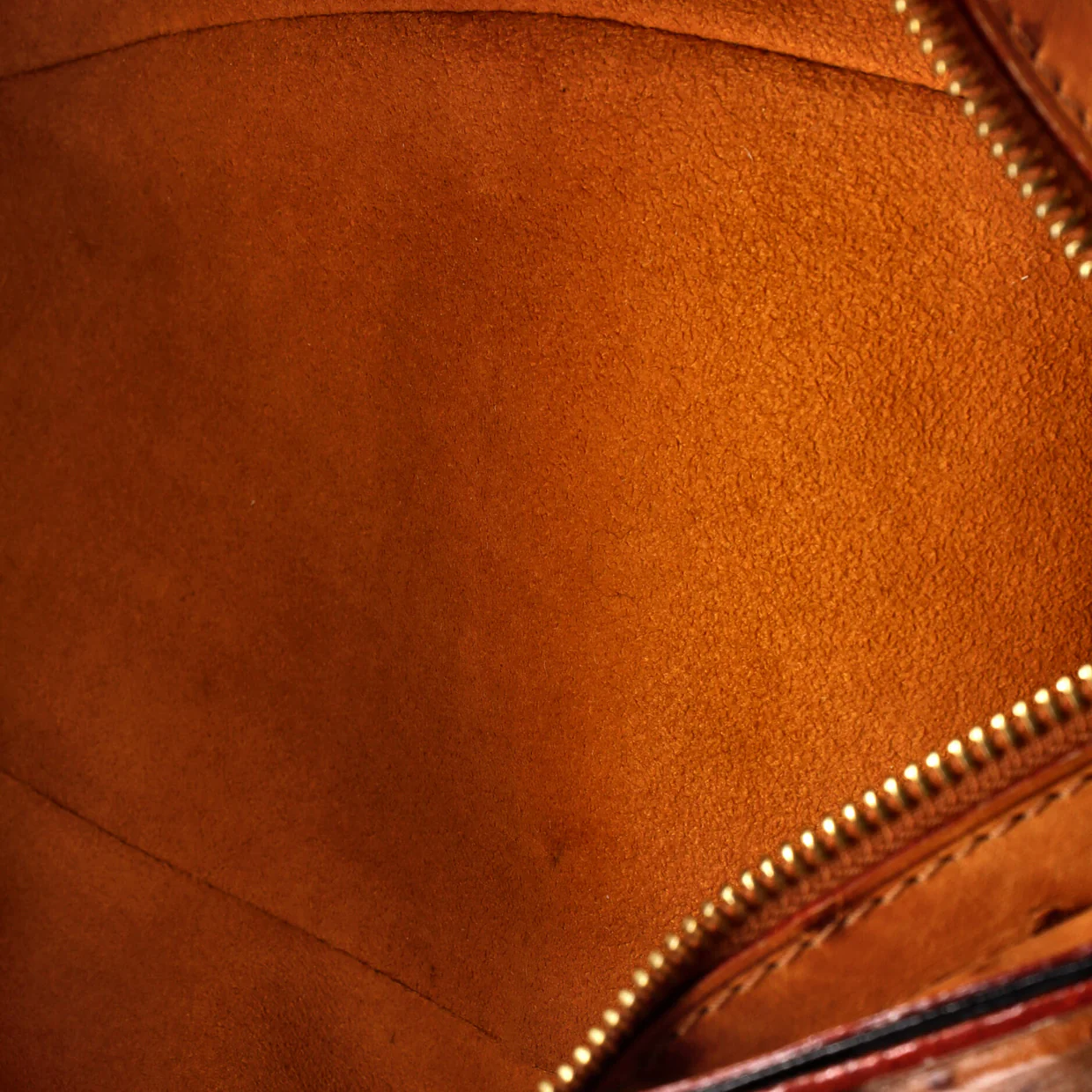 Macha Waltz Handbag Monogram Canvas and Exotics - Deep Luxury