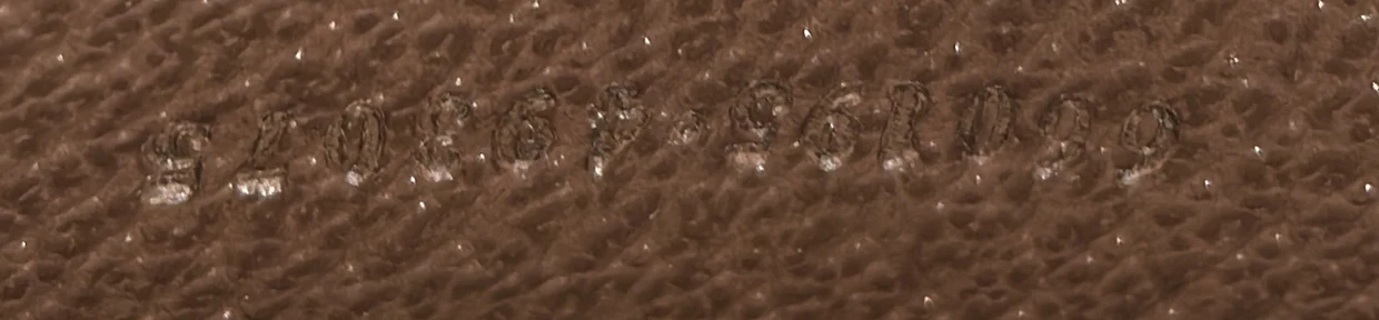 Diana NM Bamboo Handle Tote Jumbo GG Canvas Small - Deep Luxury