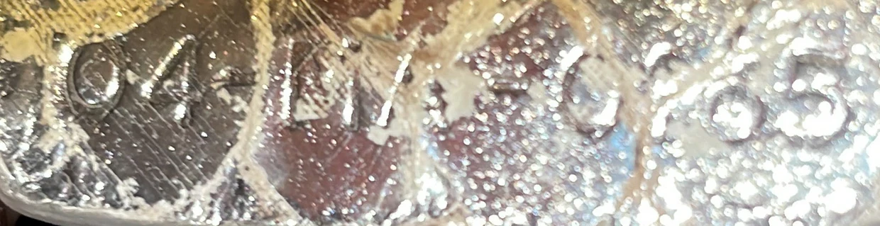 Lady Dior Bag Lizard Mini - Deep Luxury