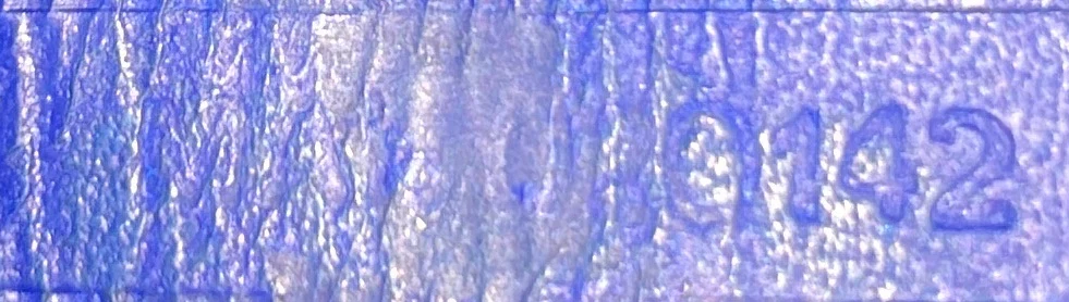 Saint Louis Tote Coated Canvas PM - Deep Luxury