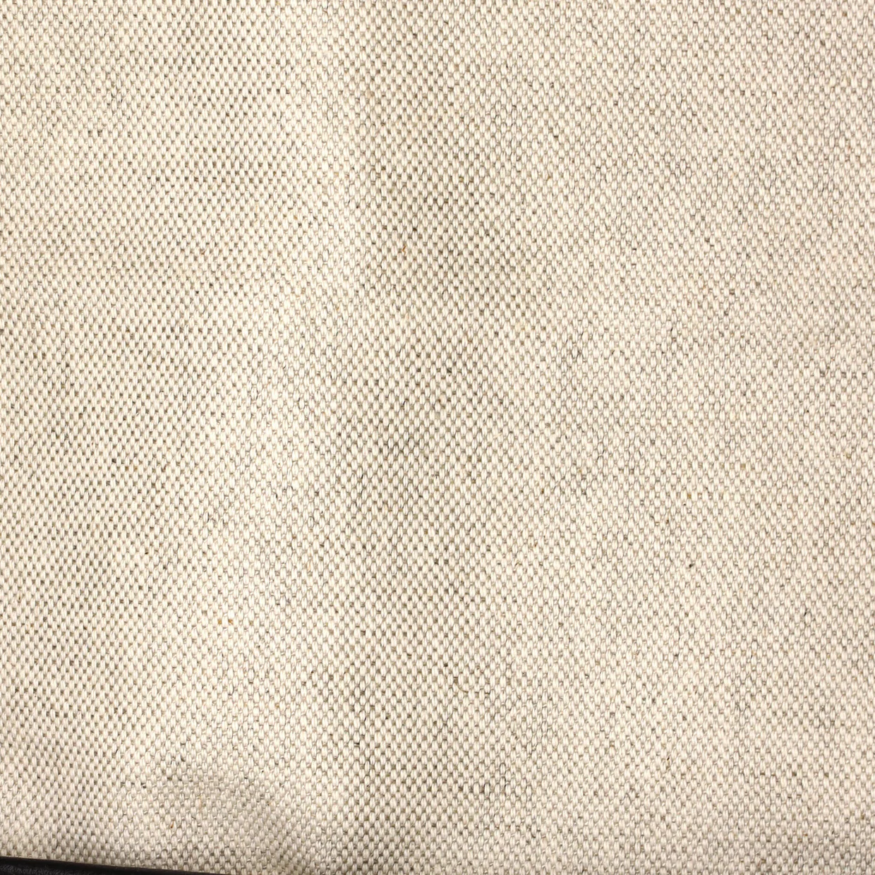 Saint Louis Tote Coated Canvas PM - Deep Luxury