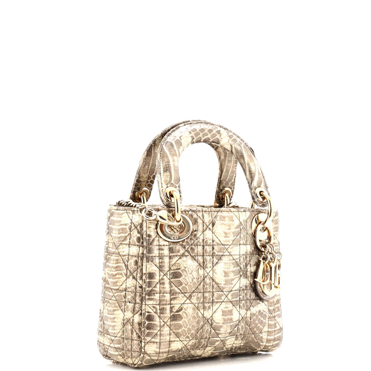 Lady Dior Bag Python Mini - Deep Luxury