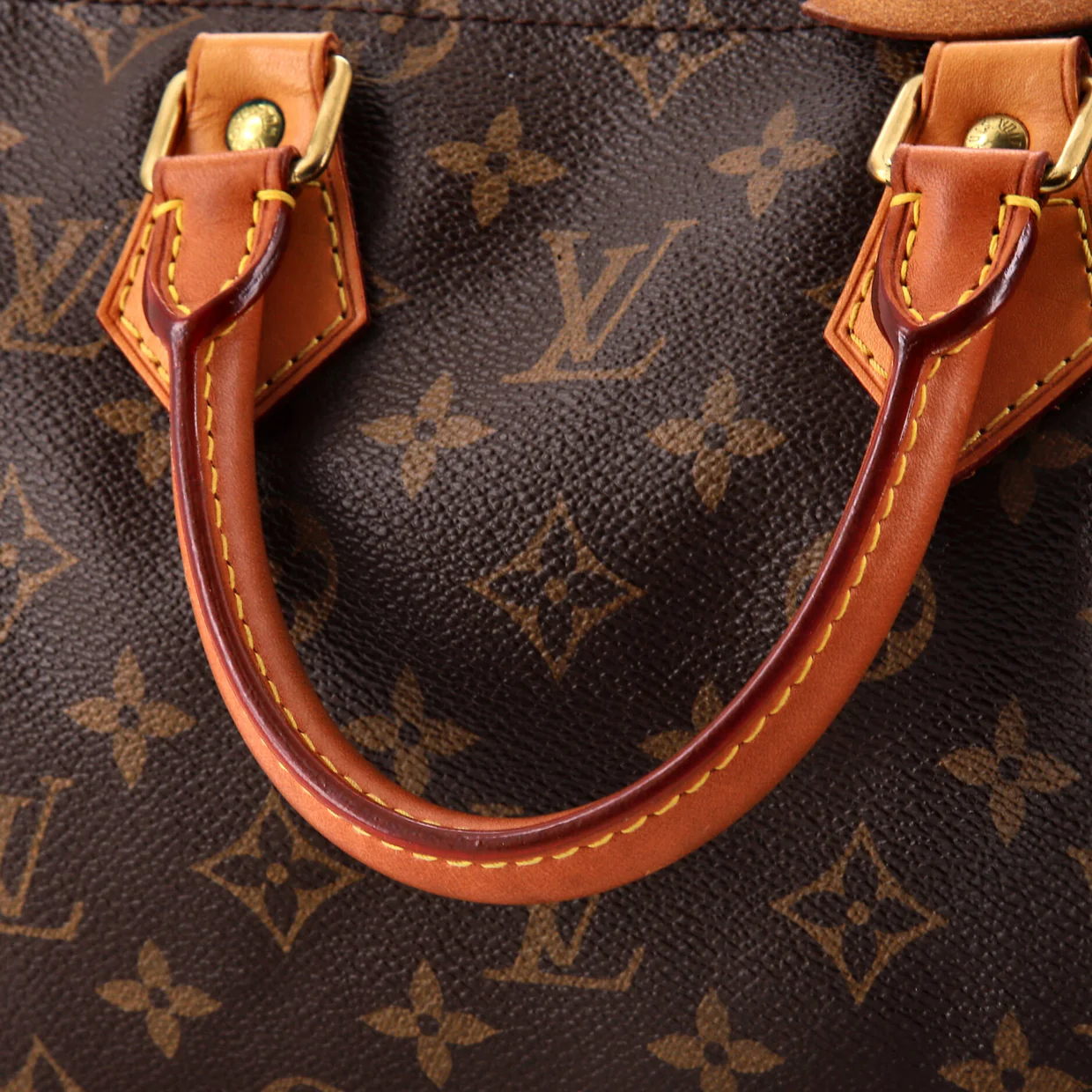 Speedy Handbag Monogram Canvas 25 - Deep Luxury