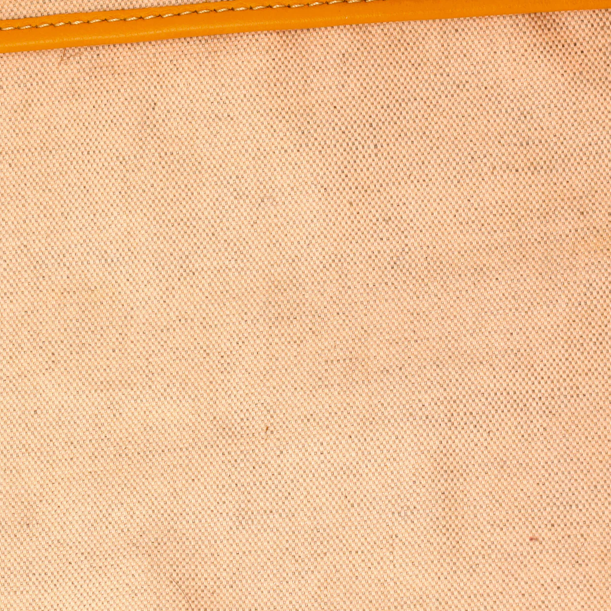 Saint Louis Tote Coated Canvas GM - Deep Luxury