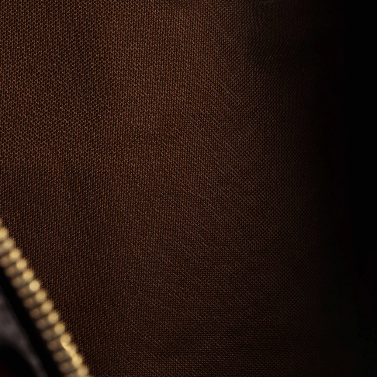 Speedy Handbag Monogram Canvas 25 - Deep Luxury