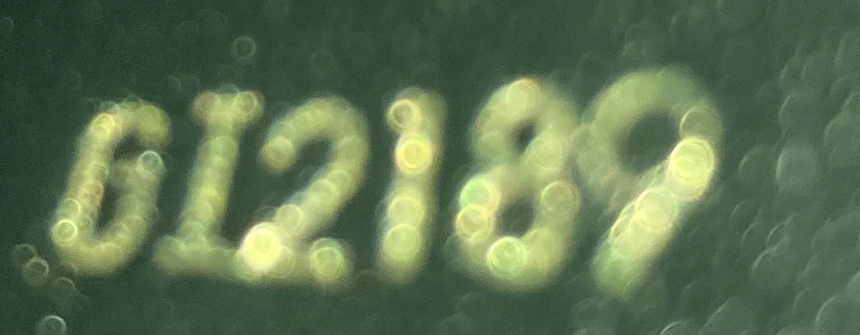 Double Zip Pochette Limited Edition Jungle Monogram Giant - Deep Luxury