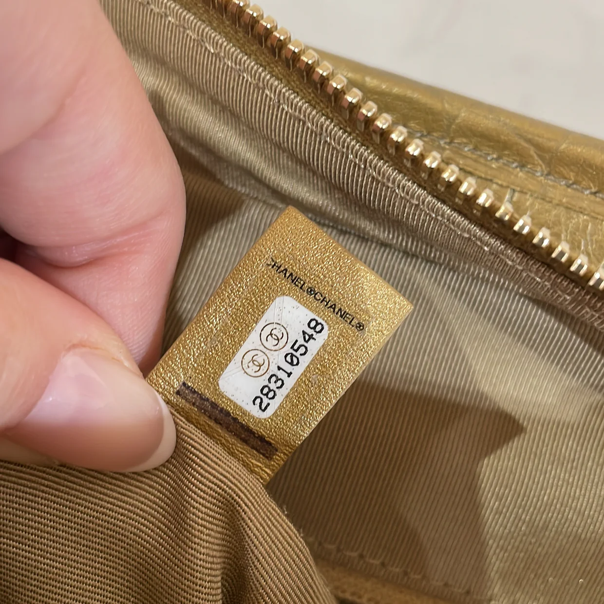 Gabrielle Hobo with Logo Handle Crocodile Embossed Calfskin Medium - Deep Luxury