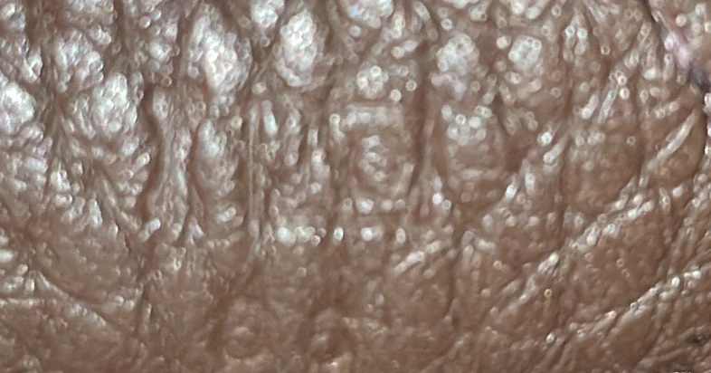 Evelyne Bag Gen III Clemence PM - Deep Luxury