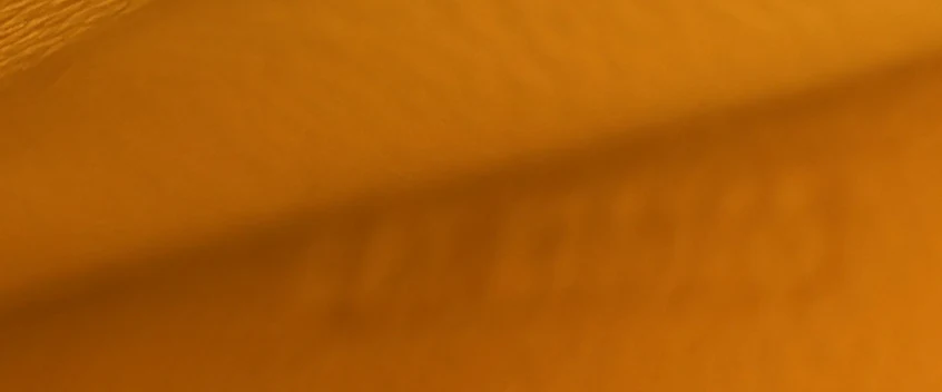 Saigon Top Handle Bag Coated Canvas with Leather Mini - Deep Luxury