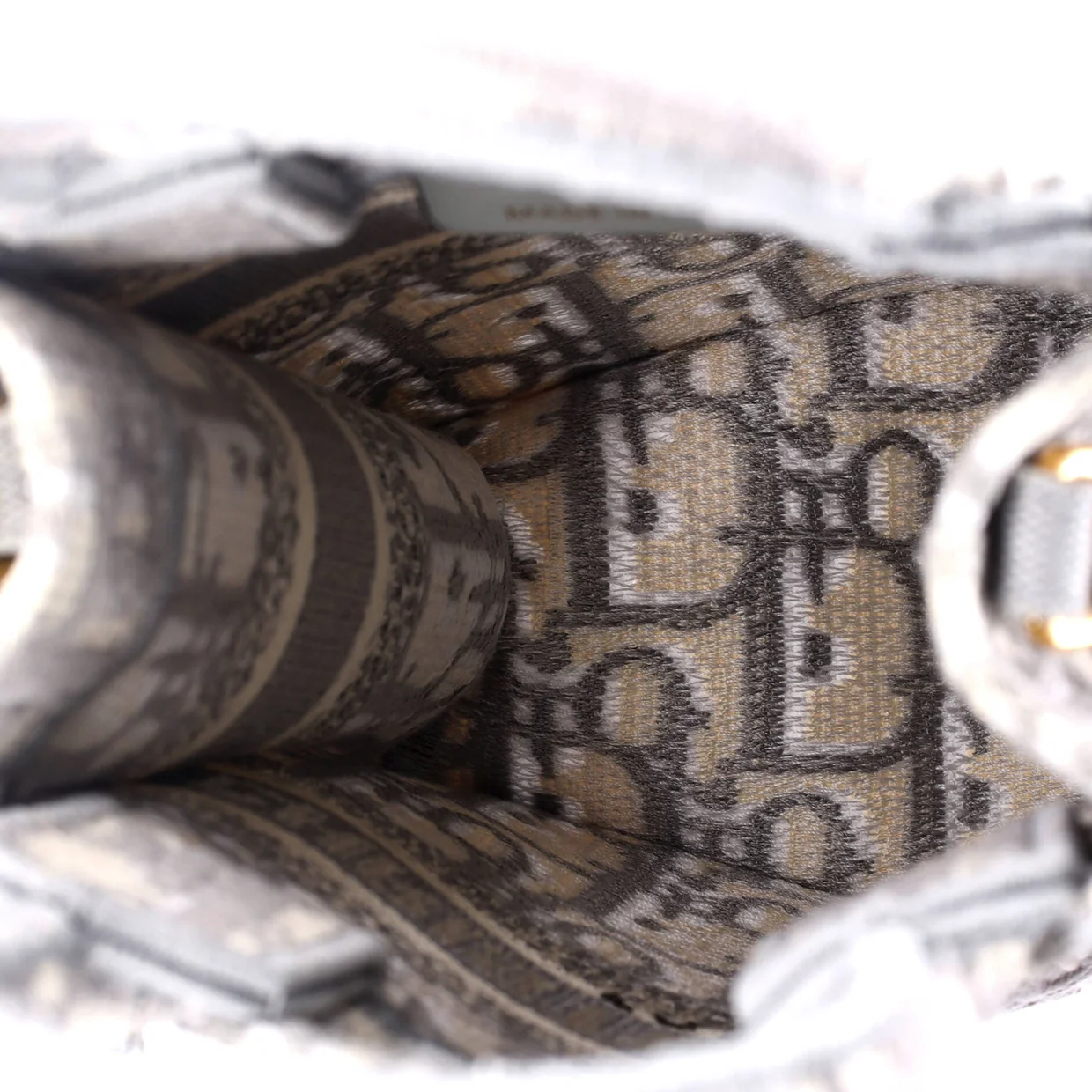 Book Tote Phone Bag Oblique Canvas Mini - Deep Luxury