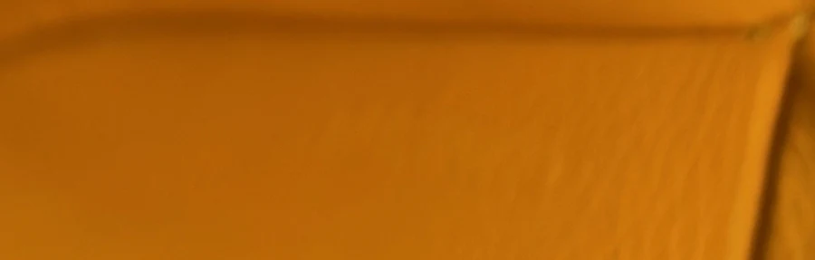 Saigon Top Handle Bag Coated Canvas with Leather Mini - Deep Luxury