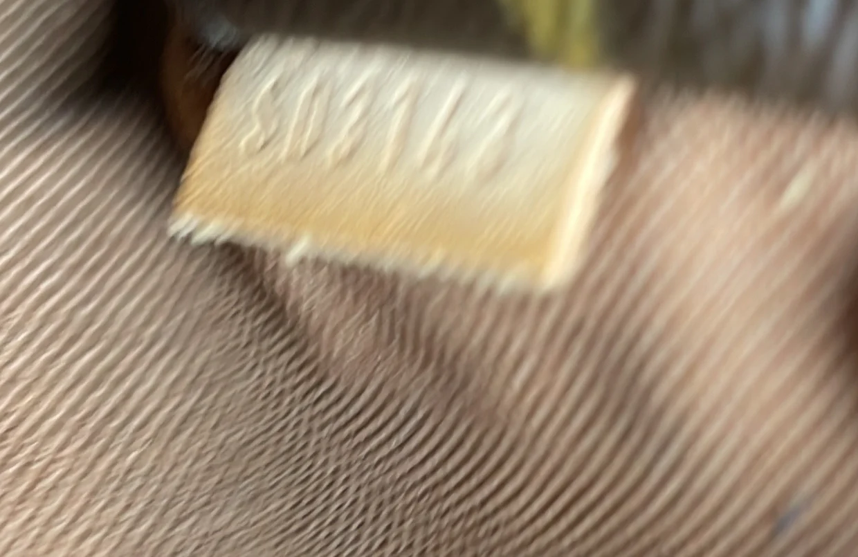 Totally Handbag Monogram Canvas MM - Deep Luxury