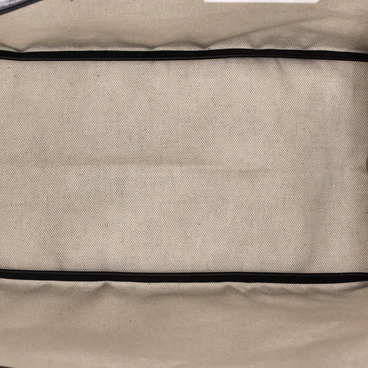 Saint Louis Tote Coated Canvas PM - Deep Luxury