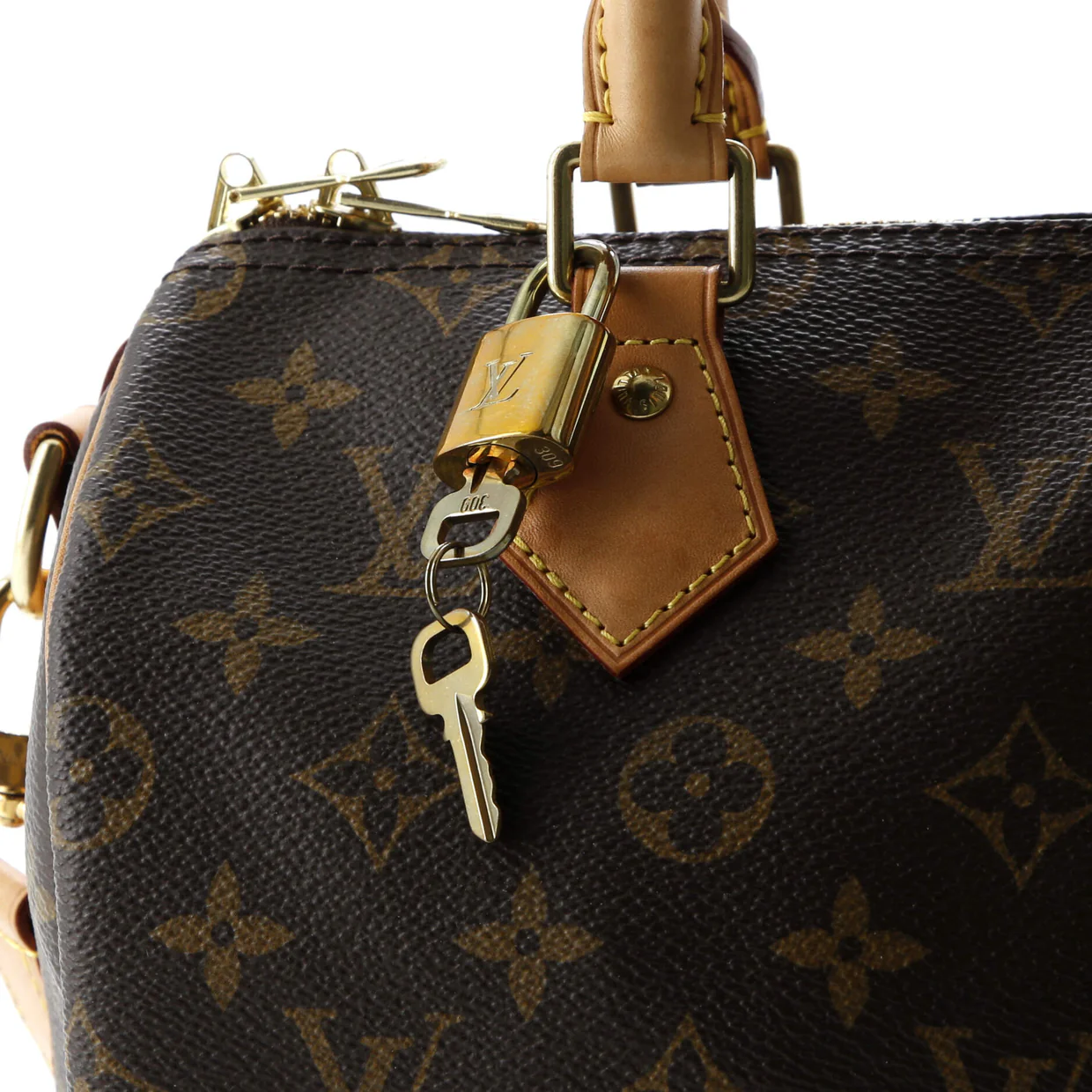 Speedy Bandouliere Bag Monogram Canvas 25 - Deep Luxury