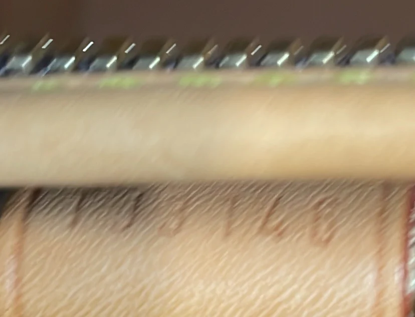 Dog Carrier Bag Monogram Canvas 40 - Deep Luxury