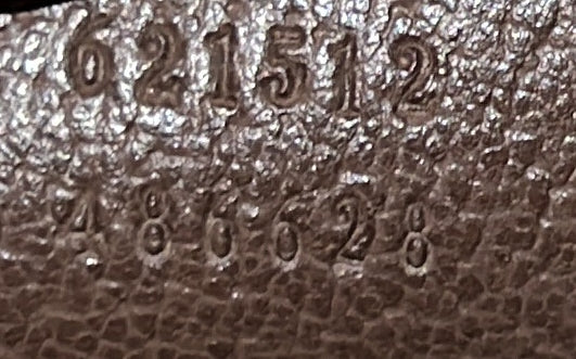 Dionysus Top Handle Chain Bag GG Coated Canvas Small - Deep Luxury